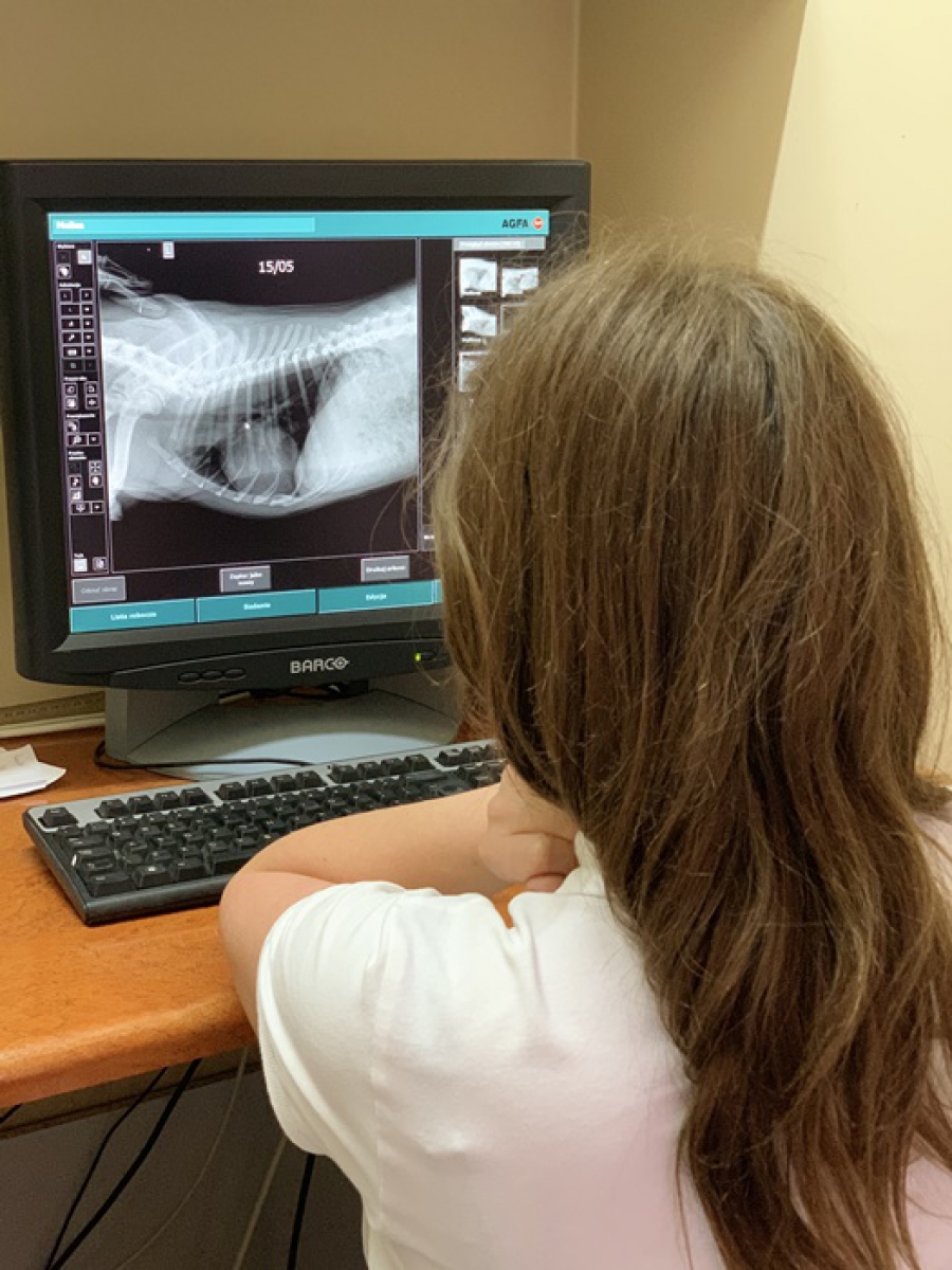 Centrum diagnostyki obrazowej — EKOVET